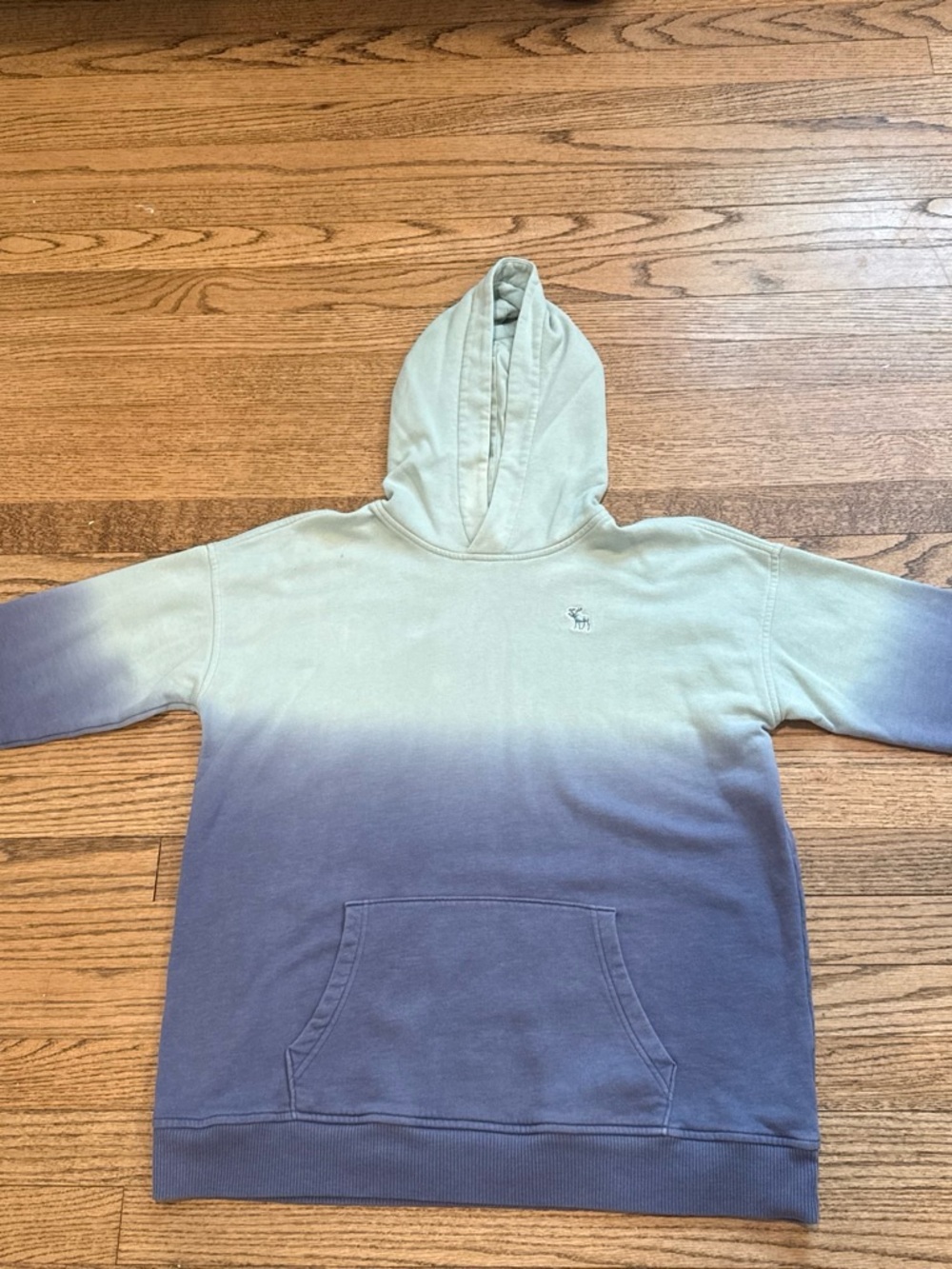 Abercrombie & Fitch Gradient Pullover Hoodie in Sage and Navy
